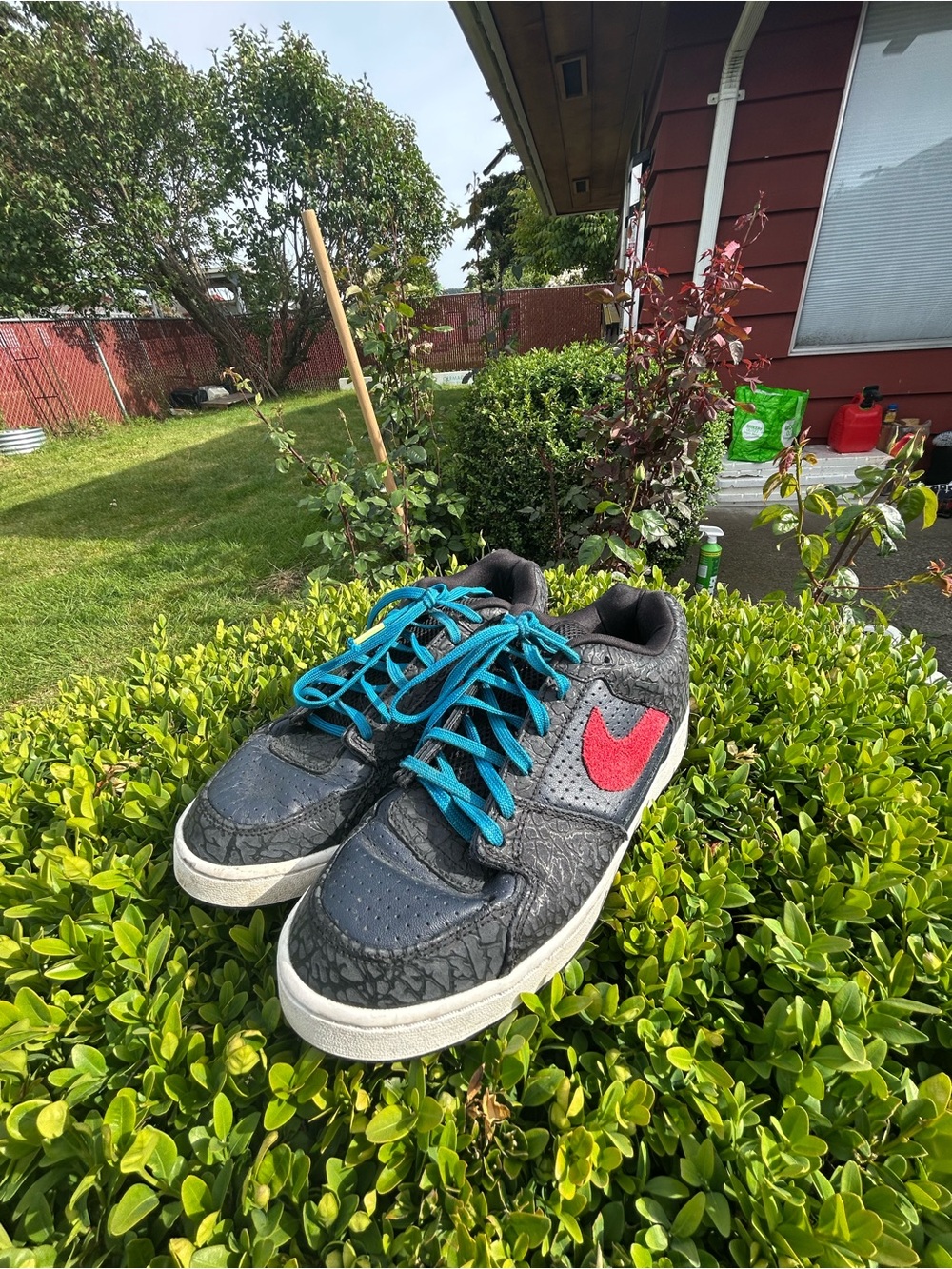 Nike Zoom Team Edition Men’s Red Swoosh and Blue Laces